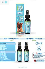 Hemp Pain Spray for Dogs - Cure by Design