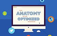 The Anatomy of an Optimized Real Estate Website [Infographic]