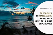 Best 5 Beaches in Mangalore That Offer One-of-a-Kind Experiences