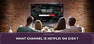 What channel is Netflix on Dish? | Sattvforme