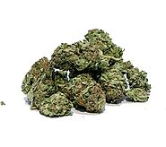 Kosher Kush Marijuana Strain | Josh 420 Buds