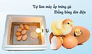 Cách ấp Trứng Gà Không Cần Máy ấp Trứng • BS Lê Đỗ Nguyên