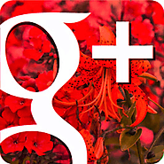 Google+ Helper Community
