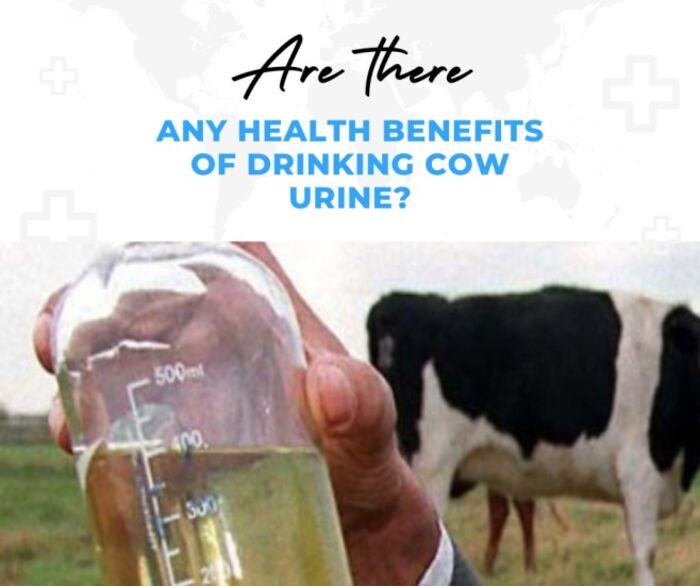 5 reasons why drinking cow urine is good A Listly List