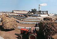 Largest & famous Sugar Manufacturing Industry in India