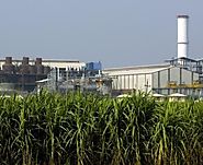 Sugar Industry in India- types, manufacturing and consumption