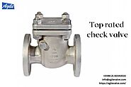 Use Top-Rated Check Valves to Fit Different Industrial Requirements