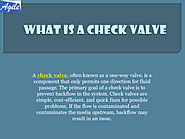 What is a Check Valve