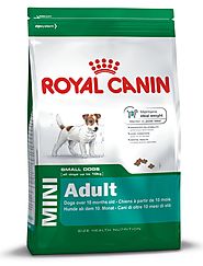 Get MINI Adult Dry Food - Royal Canin Product for Small Breed Dogs