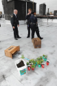 Marijuana mix-up: Brooklyn building superintendent, cops at first mistake tomato plants for pot
