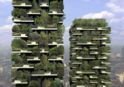Milan's Vertical Forest