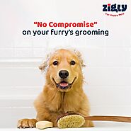 Pet Grooming App