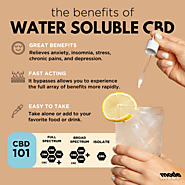 Water Soluble CBD | My Kind of Mode, Inc.