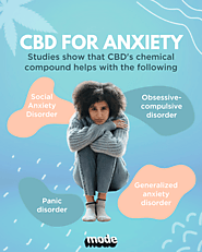 Best CBD for Anxiety | My Kind of Mode Inc