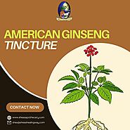 American Ginseng Tincture: The Powerhouse Of Vitality