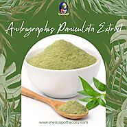 The Best Benefits Of Andrographis Paniculata Extract