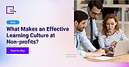 What Makes an Effective Learning Culture at Non-profits?