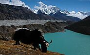Everest Base Camp and Gokyo Lakes Helicopter Tour| EBC Gokyo Lake Helicopter Trekking Cost, Price 2022/2023