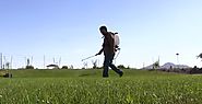 Best Backpack Sprayers for Lawn, Garden, Pests - BackPackSprayerGuide.com