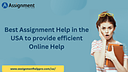Best Assignment Help in the USA to provide efficient online help