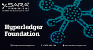 Functionalities of Hyperledger Foundation