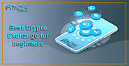 Platinx Exchange - The best Crypto Exchange for beginners