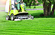 Are Gasoline Self-Propelled Lawnmowers Losing Their Dominance? | Arizton