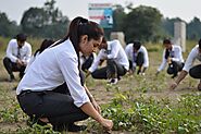 BSc(Hons) Agriculture college in Dehradun | Dev Bhoomi Uttarakhand University