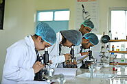 Pharmacy college in Dehradun Uttarakhand | Dev Bhoomi Uttarakhand University