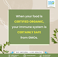 According to many studies genetically modified food usually has sides effects like the weakened immune system