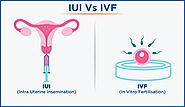 IUI Vs. IVF: Which Treatment Is A Better Option For Me?