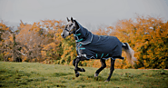 Get Your Warmest and Comfortable Horse Blankets for these Winters