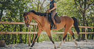 Get the Best Dressage Outfits and Horse Riding Outfits