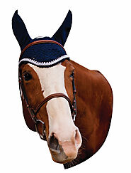 Best Fly Bonnets for Horses Online
