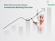 Reasons Why the Company Requires Investment Banking Services