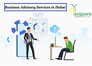 Business Advisory Services