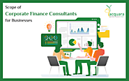 Scope of Corporate Finance Consultants for Businesses