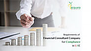 Requirements of Financial Consultant Company for Compliance in UAE