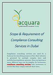 Scope & Requirement of Compliance Consulting Services in Dubai