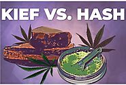 Kief vs Hash: Which One is the Best THC Concentrate