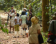 Excursion counter for curated tours