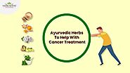 Ayurvedic Herbs To Help With Cancer Treatment – Easyayurveda.com