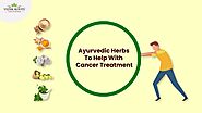 Ayurvedic Herbs To Help With Cancer Treatment | by Sameer Singhania | Dec, 2022 | Medium