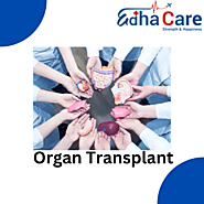 Best Organ Transplant Surgery In India | EdhaCare