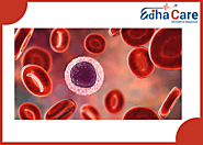 Best Blood Cancer Treatment In India | EdhaCare