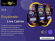Royalewin Live Casino