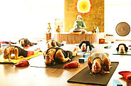 Explore the World of Ayurveda in Rishikesh: Guide to the Best Ayurveda Courses and Training Program.
