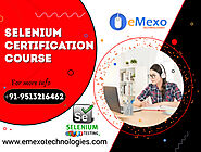 Selenium Certification Course in Electronic City bangalore