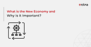 What is the New Economy and Why is it Important?