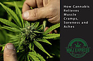 How Cannabis Relieves Muscle Cramps, Soreness and Aches - MMJ Express